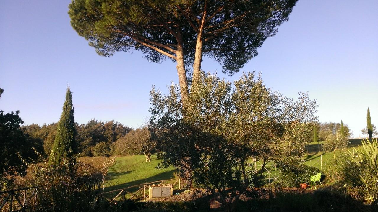 Gradoli La Montagnola Retreat酒店 外观 照片